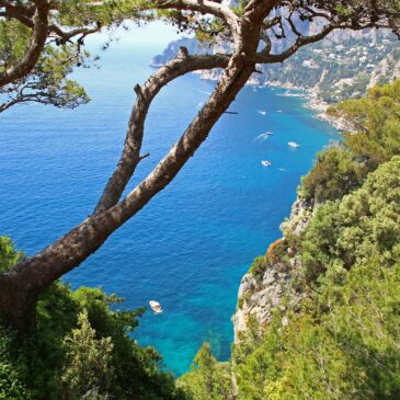 The Isle of Capri – Island of love, arts and wealth!