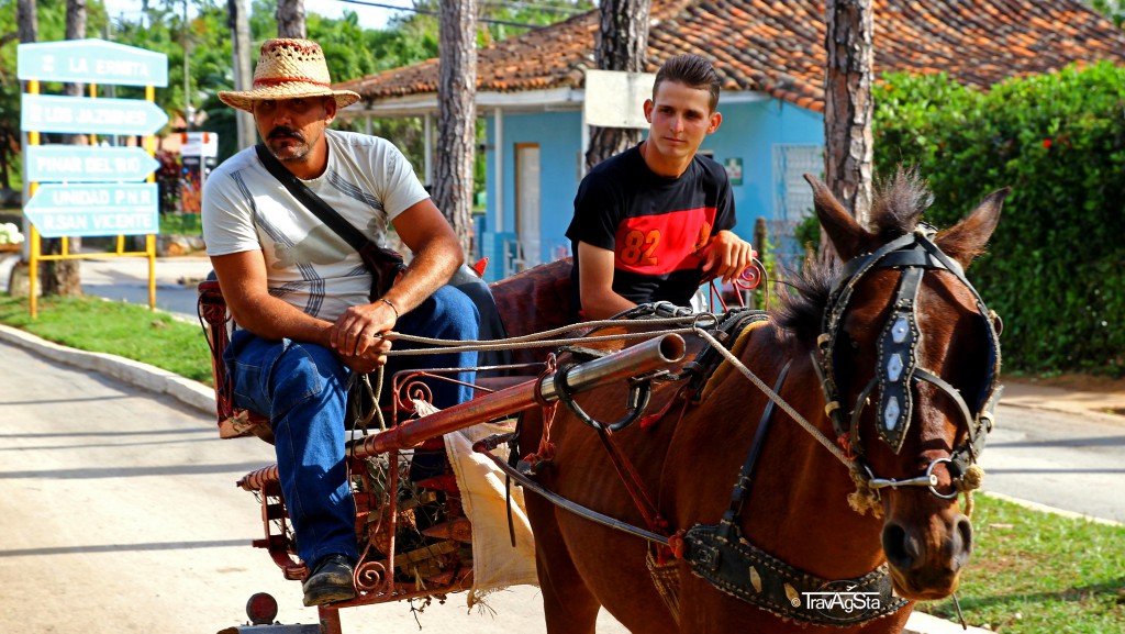 Agricultural vehicles in Vinales, Cuba