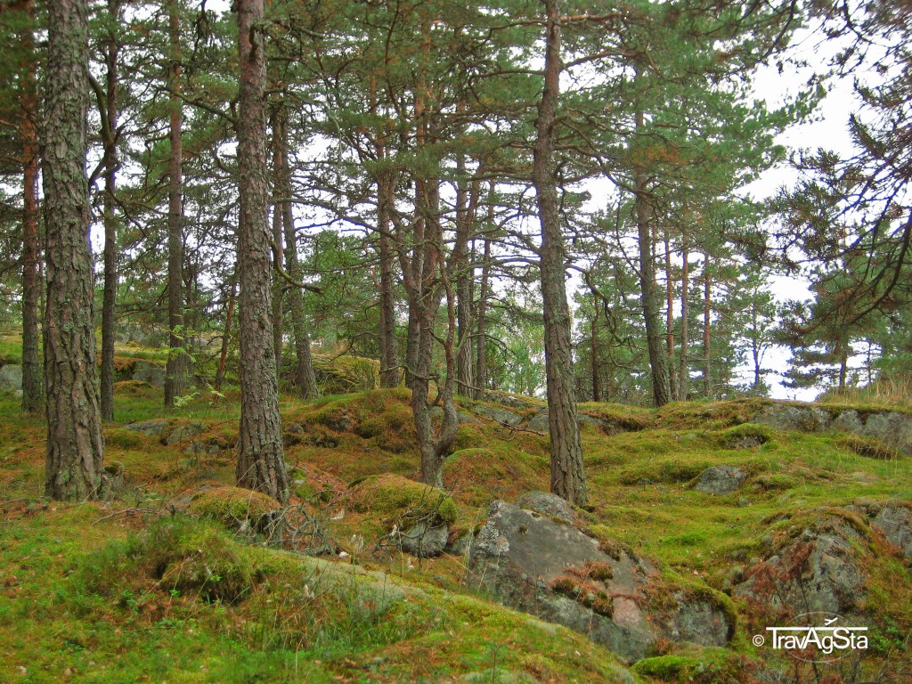 Nature in the archipelago off the Finnish coast