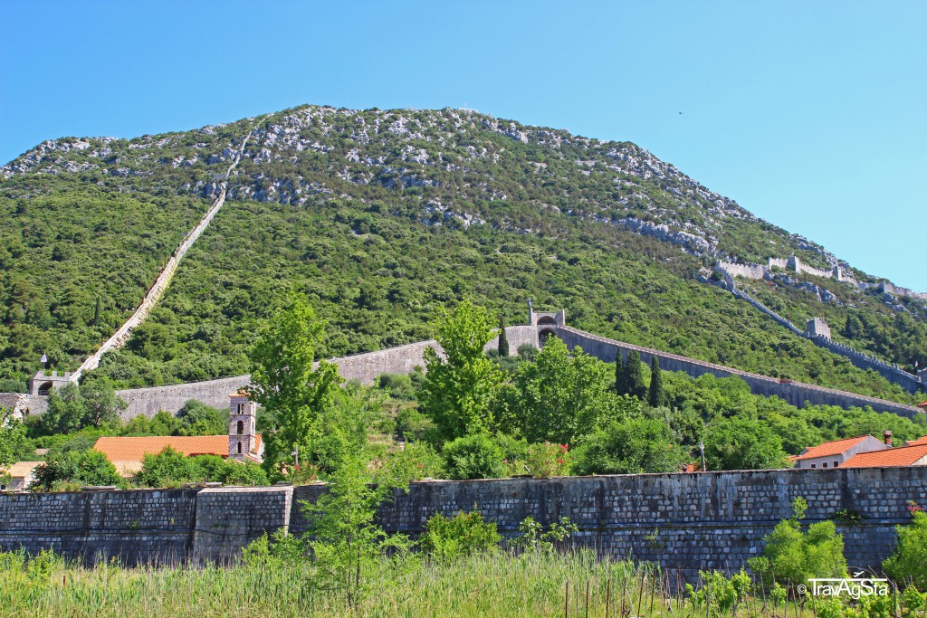Vineyards, Croatia