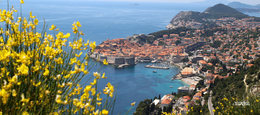 Dubrovnik-Traumstadt an der Dalmatinischen Küste!