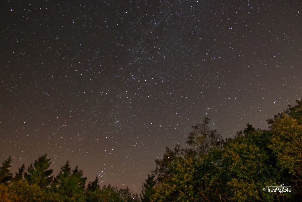 Starry sky with Milky Way and illuminated trees
