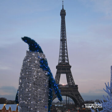 Warum ihr Paris zur Weihnachtszeit besuchen solltet!