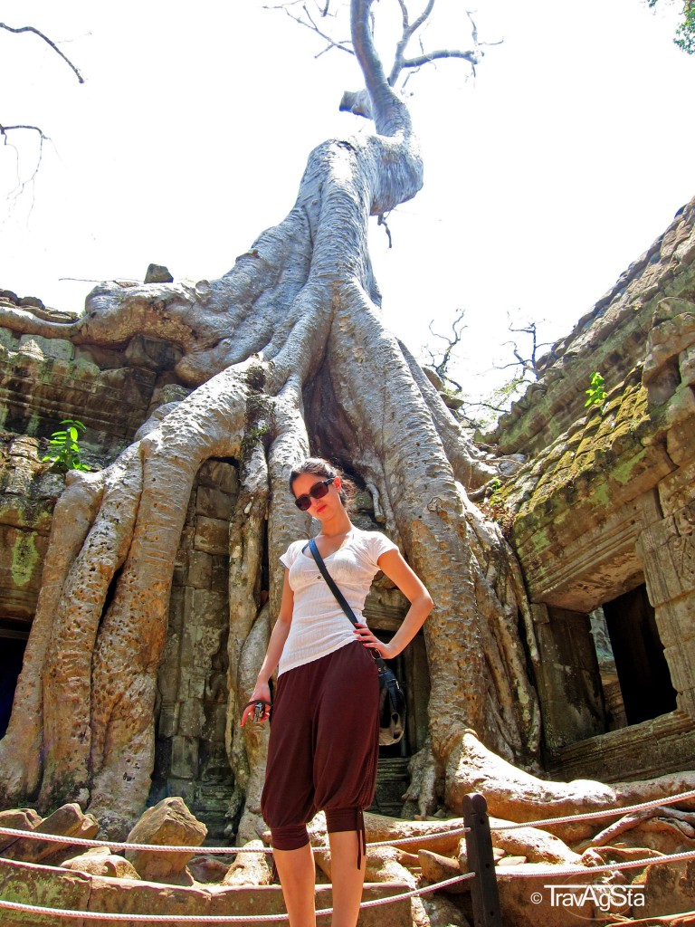 Ta Prohm, Ta Prohm, Angkor Wat, Cambodia
