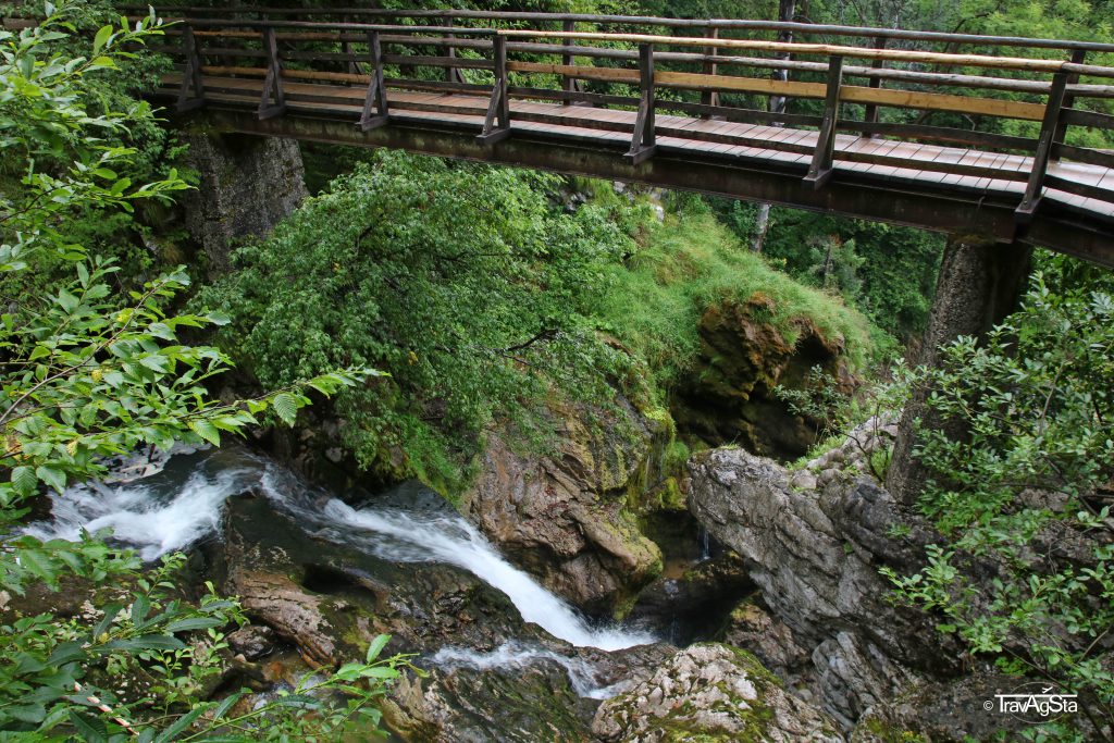 Vintgar Gorge, Triglav National Park, Slovenia