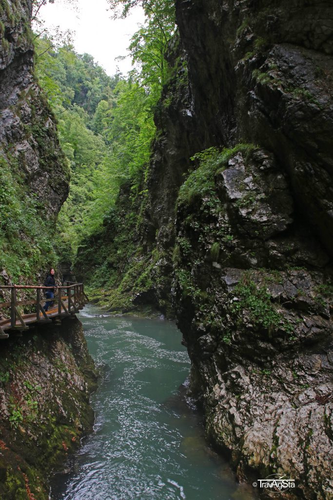 Vintgar Gorge, Triglav National Park, Slovenia