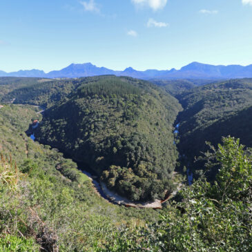 Beautiful, rough Garden Route – better come in summer!