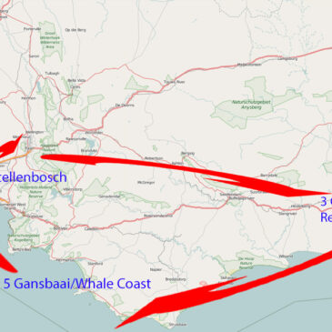 Routenvorschlag für 2 Wochen Südafrika – Kapstadt bis zur Garden Route!