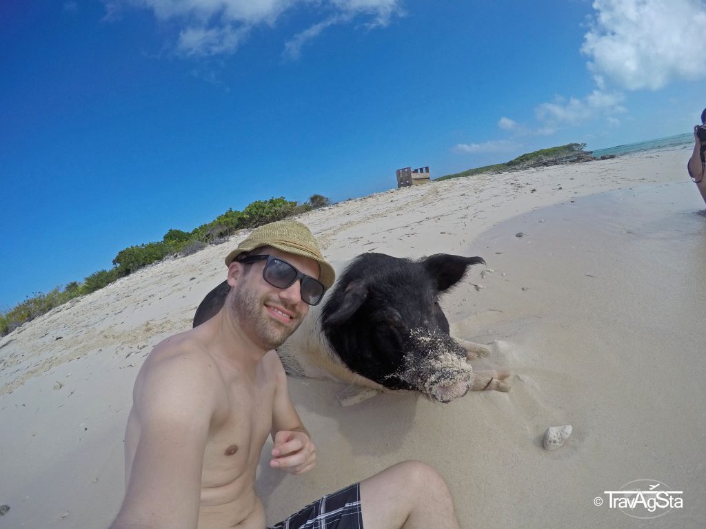 Little Pig Beach, Great Exuma, The Bahamas