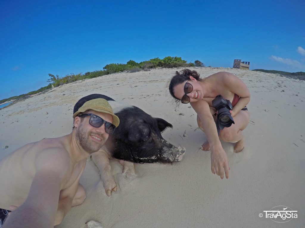 The Swimming Pigs, The Bahamas