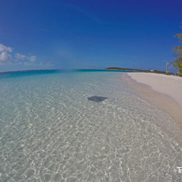 Die Exumas, Bahamas – ein Paradies auf Erden!