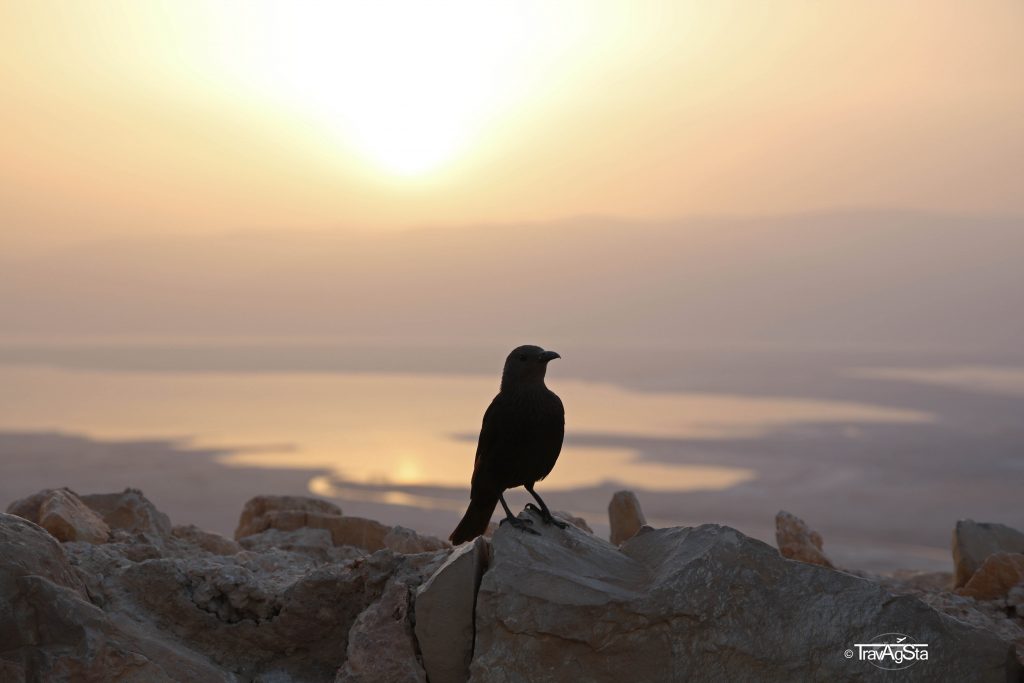 Masada, Dead Sea, Israel