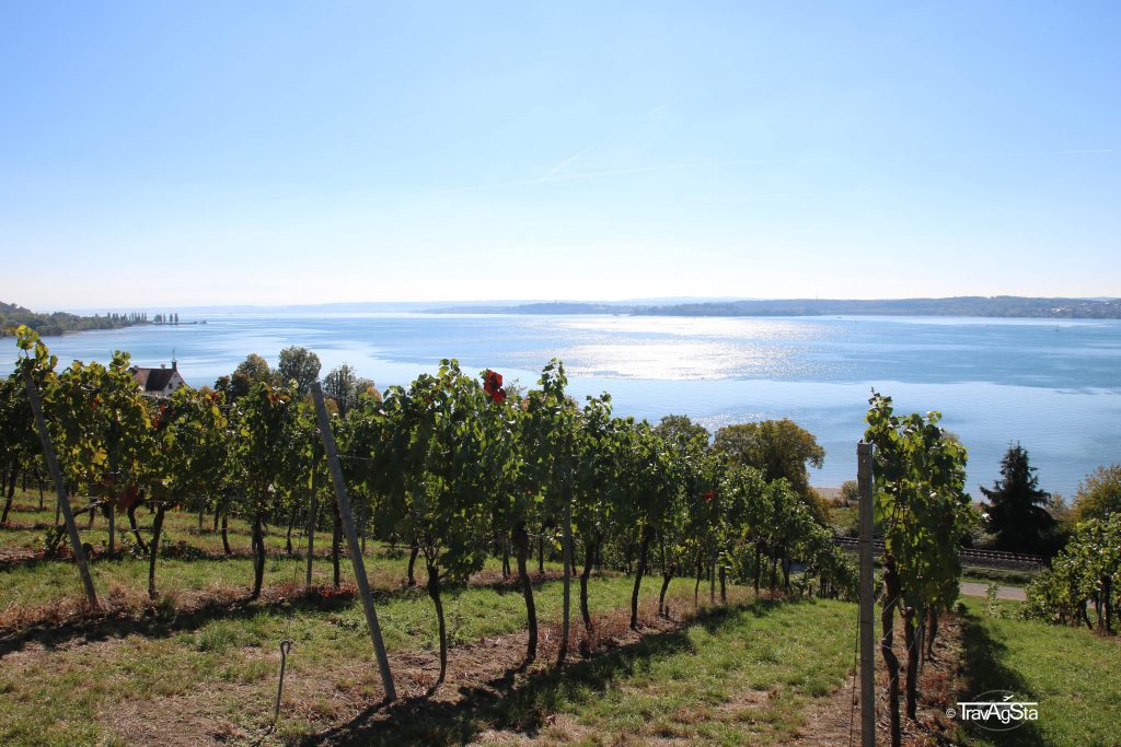 Bodensee/ Lake Constance, Baden-Württemberg, Germany